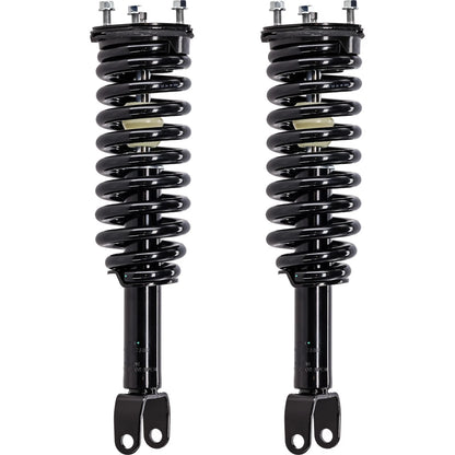 Set of 2 Fully Loaded Struts