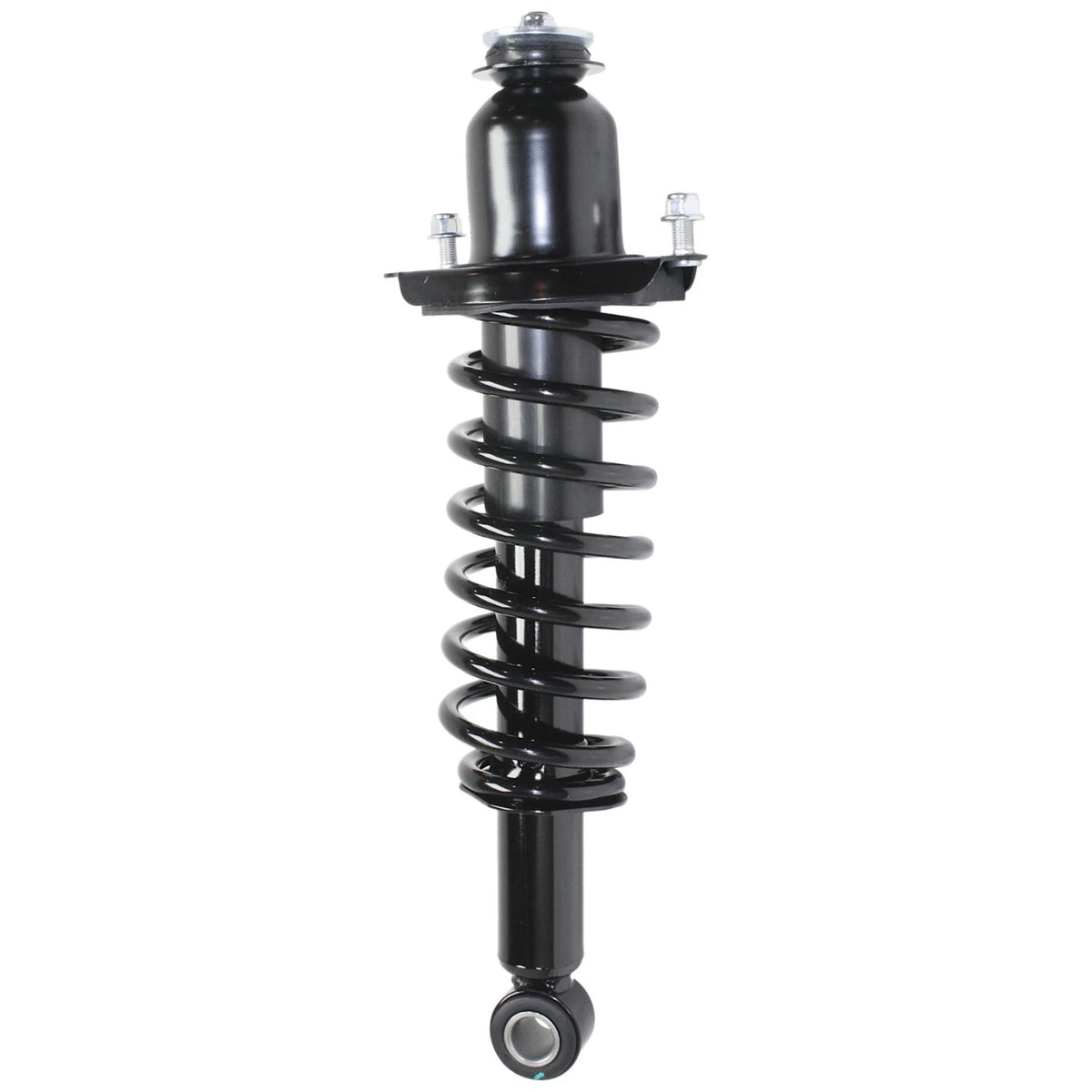 Set of 2 Loaded Struts