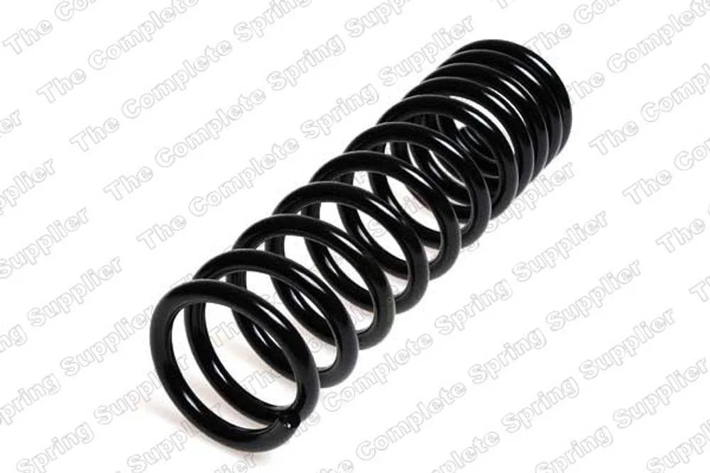 Rear Coil Spring for BMW (4208430)
