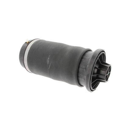 Shock and Strut Air Spring for Mercedes-Benz (Rear Driver/Passenger Side)