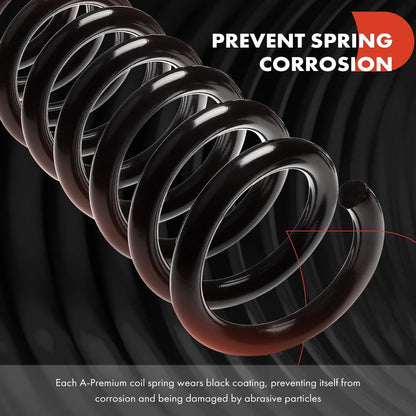 2x Rear Coil Springs for Maxima (2004-2008) & Altima (2002-2006)