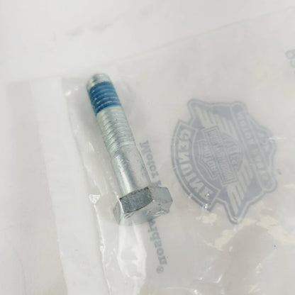 Bolt 8369 with Lock Patch for Harley-Davidson