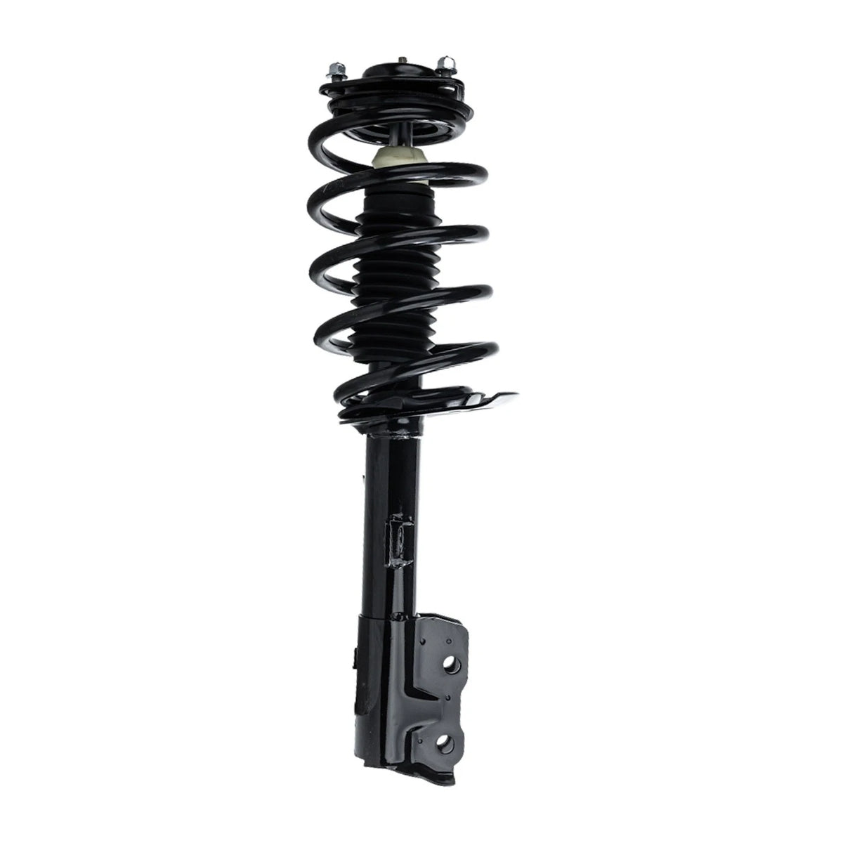 Strut Set of 2