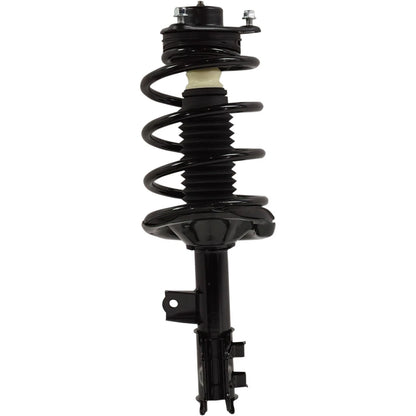 Strut Set of 2 for Sedan (Front Driver & Passenger Side)