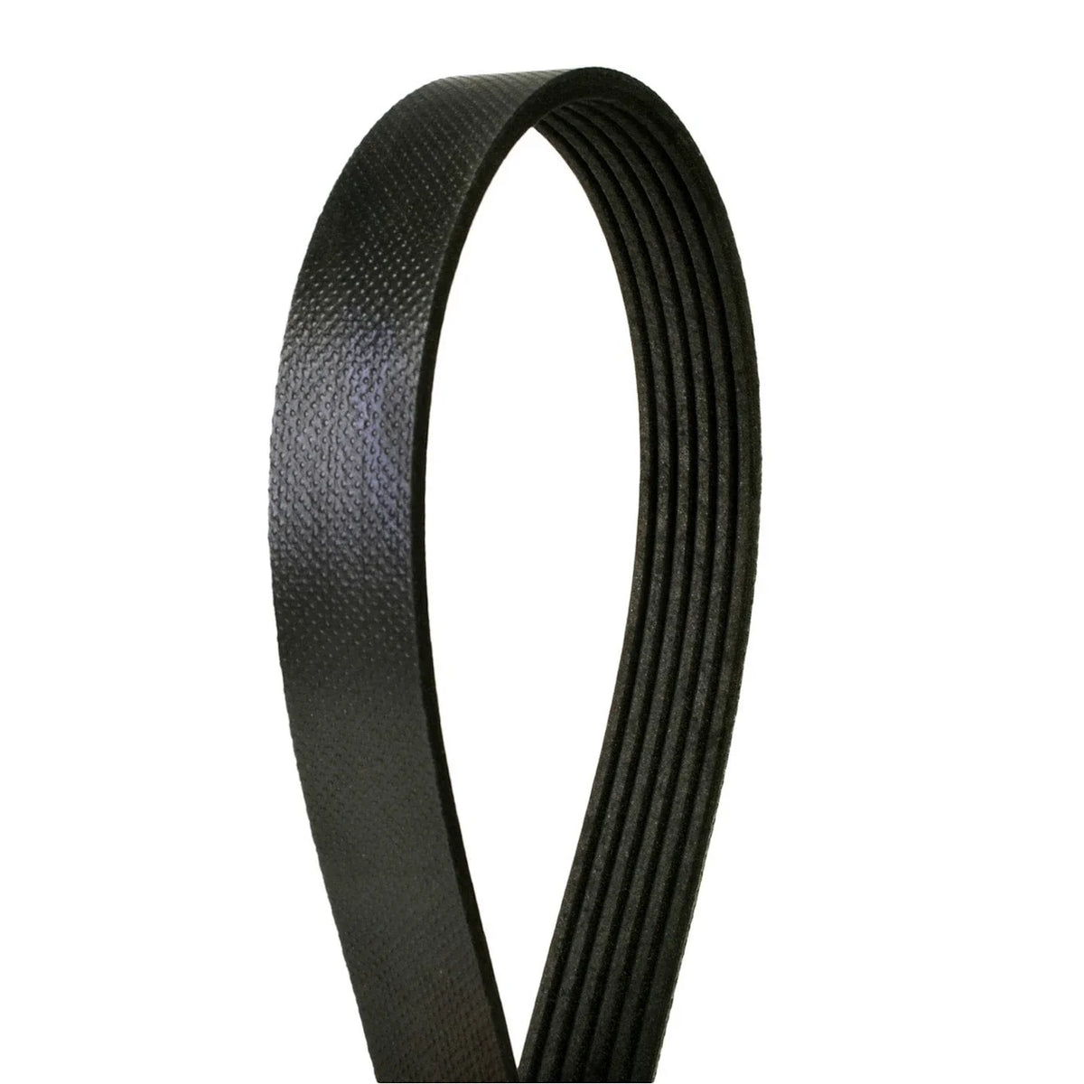 Serpentine Belt for Ford Escape (2009–2012)
