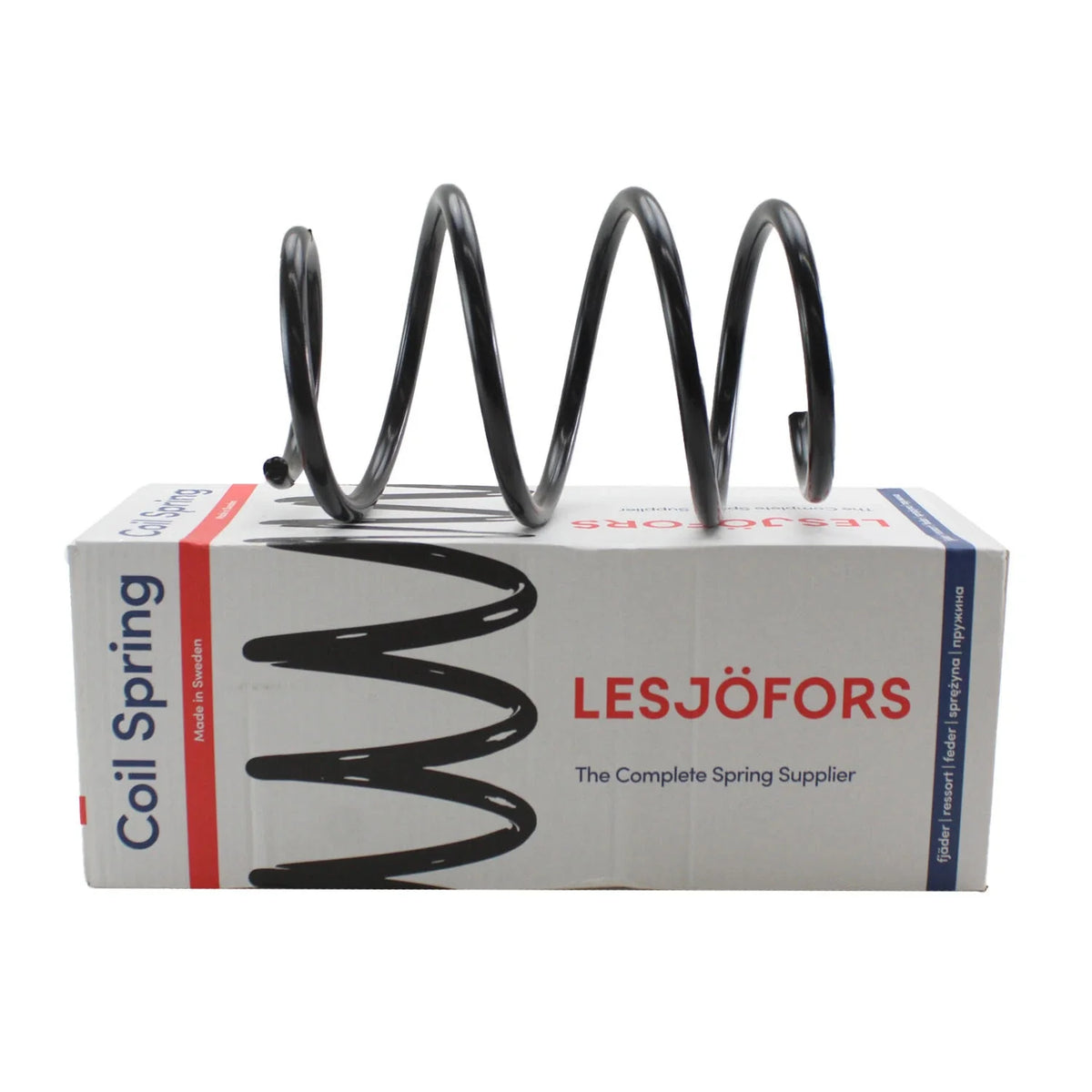 Front Coil Spring 4008444 for BMW E46 (2000–2007)