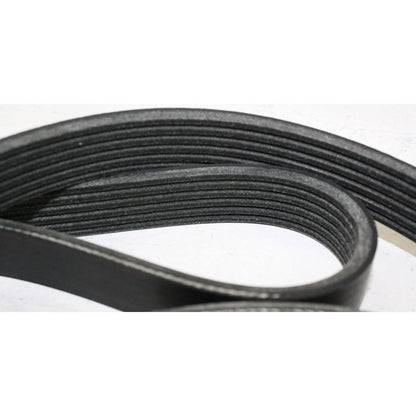 Drive Belt for Ford F-150, E-250 Econoline (2005-2006, 1993-2001)