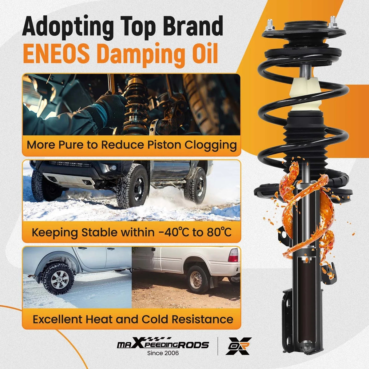 Front Rear Strut Coil Spring Kit for Scion tC (2005–2010)