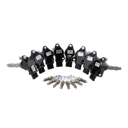 Ignition Coil Set and Platinum Spark Plug Set for Mercedes C216 W221