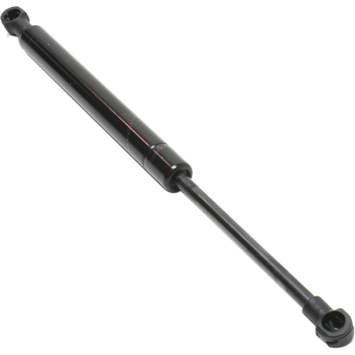 Lift Support for BMW 325i (2001–2005) Left or Right