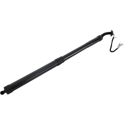 Lift Supports for Honda Pilot Liftgate 2016 to 2022