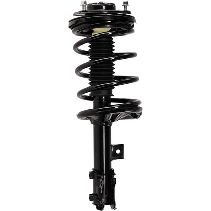 Set of 2 Struts