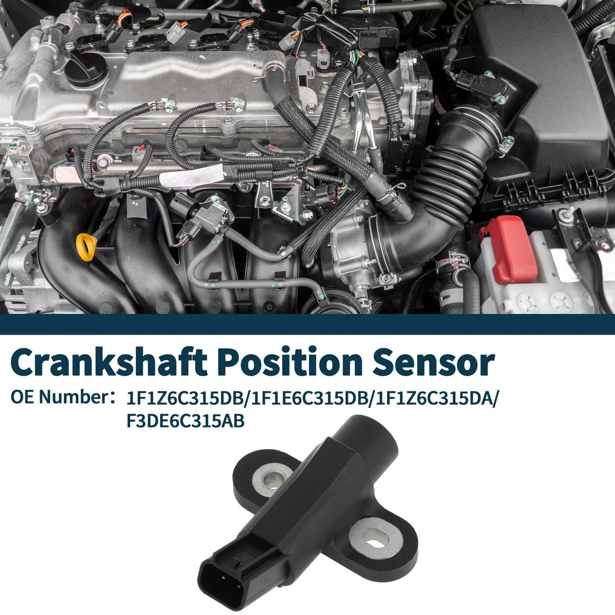 Crankshaft Position Sensor for Ford Ranger 3.0 (1995–2008) 1F1Z6C315DB