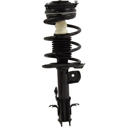 Strut Set of 2