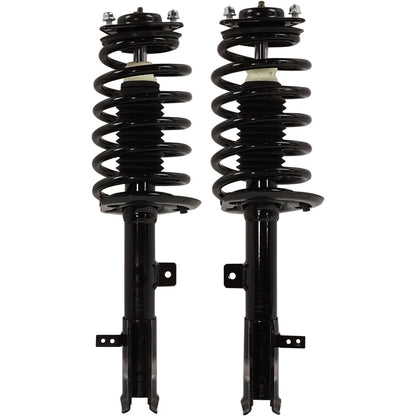 Strut Set of 2