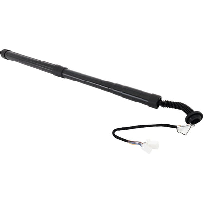 Liftgate Lift Support Driver Left Side for Honda Pilot (2016–2022)