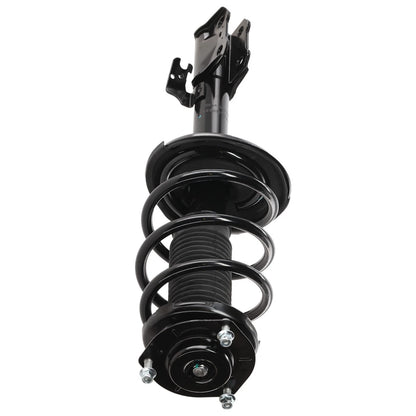 Strut Set of 2