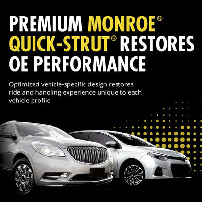 Suspension Strut and Coil Spring Assembly for