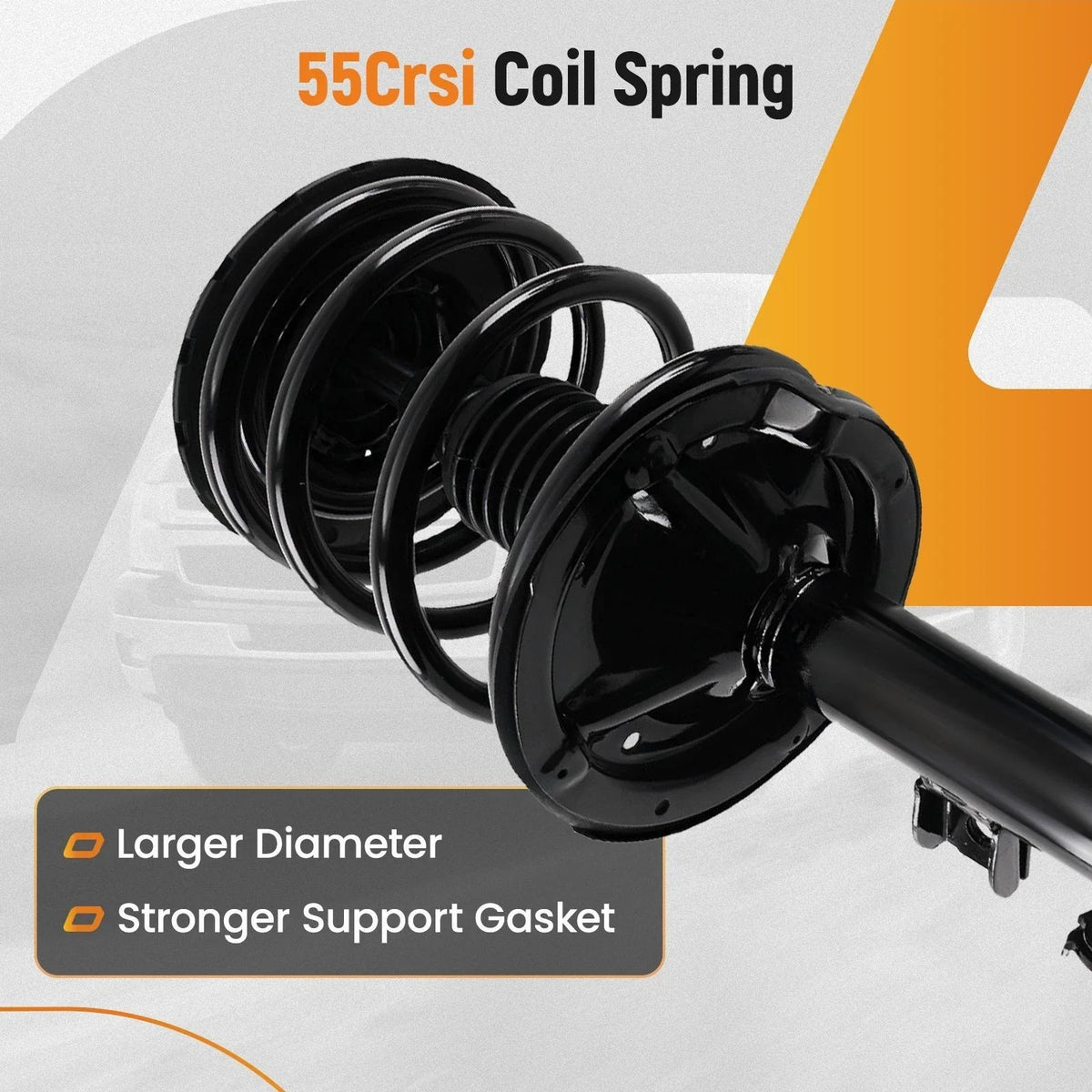 2 Front Struts & Coil Spring for Nissan Murano (2003–2007)