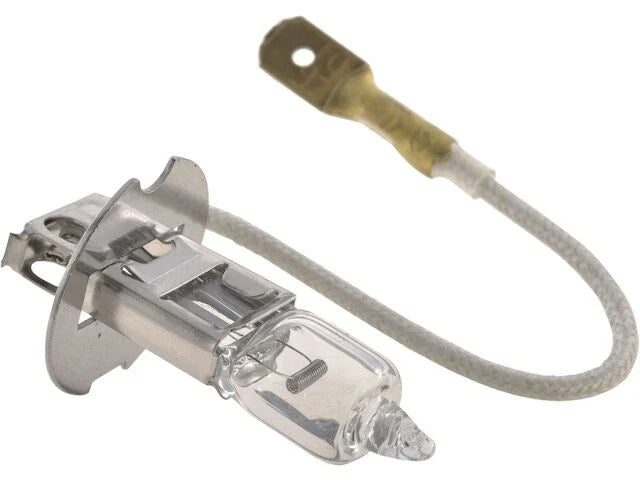 Front Fog Light Bulb for Jaguar XJ12 (1994–1996) JB348QJ