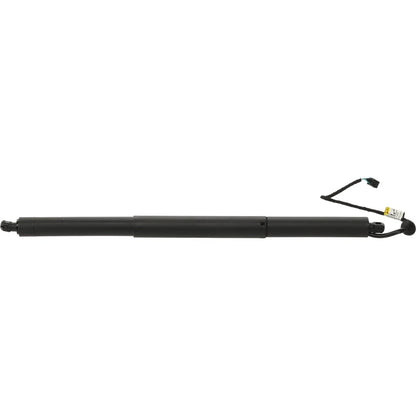 Set of 2 Liftgate Lift Supports for