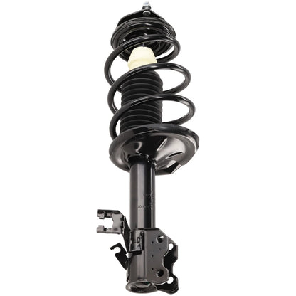 Set of 2 Loaded Struts for