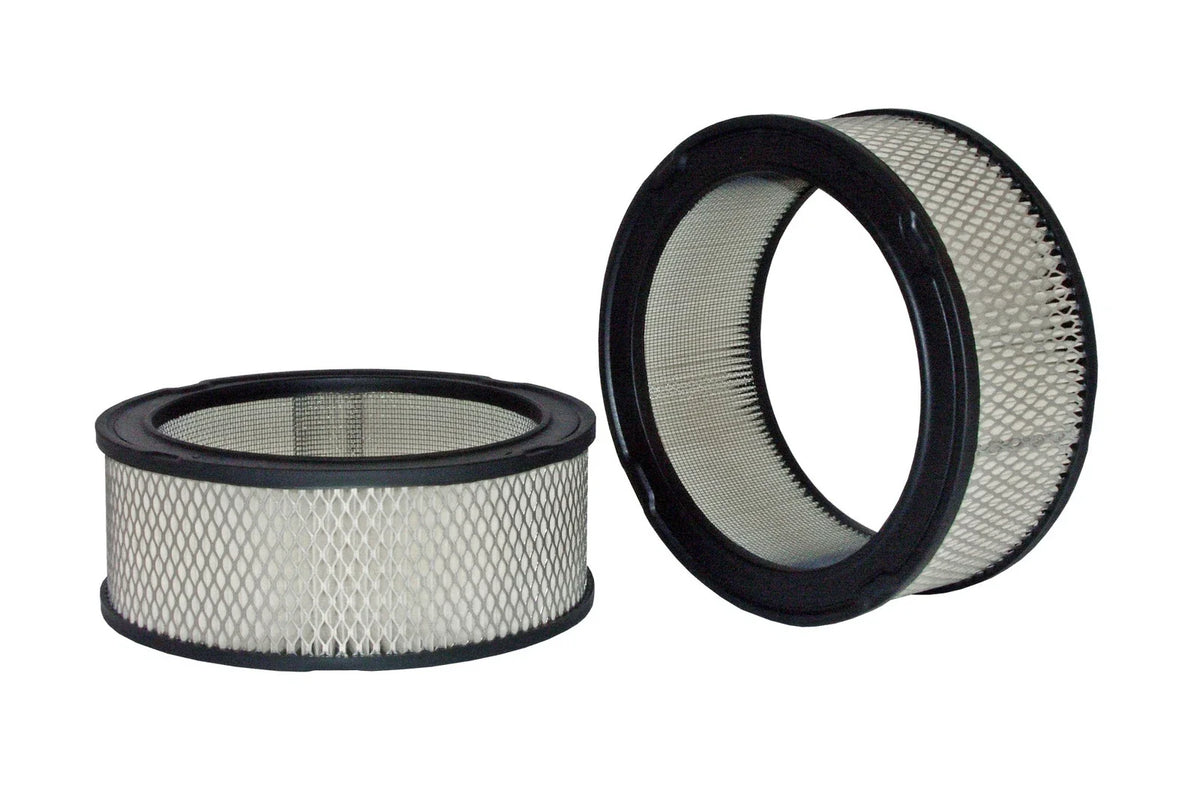 Wix Engine Air Filter for Ford 300 (42055)