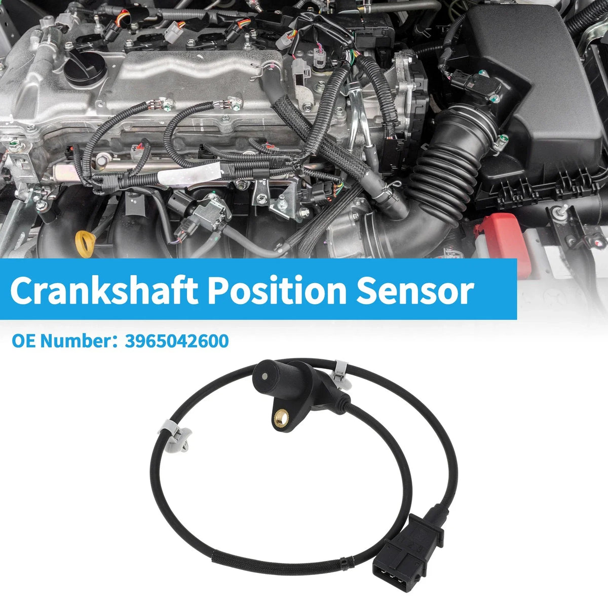 Crankshaft Position Sensor for KIA K2500 2003–2017 No. 3965042600 1 Pc