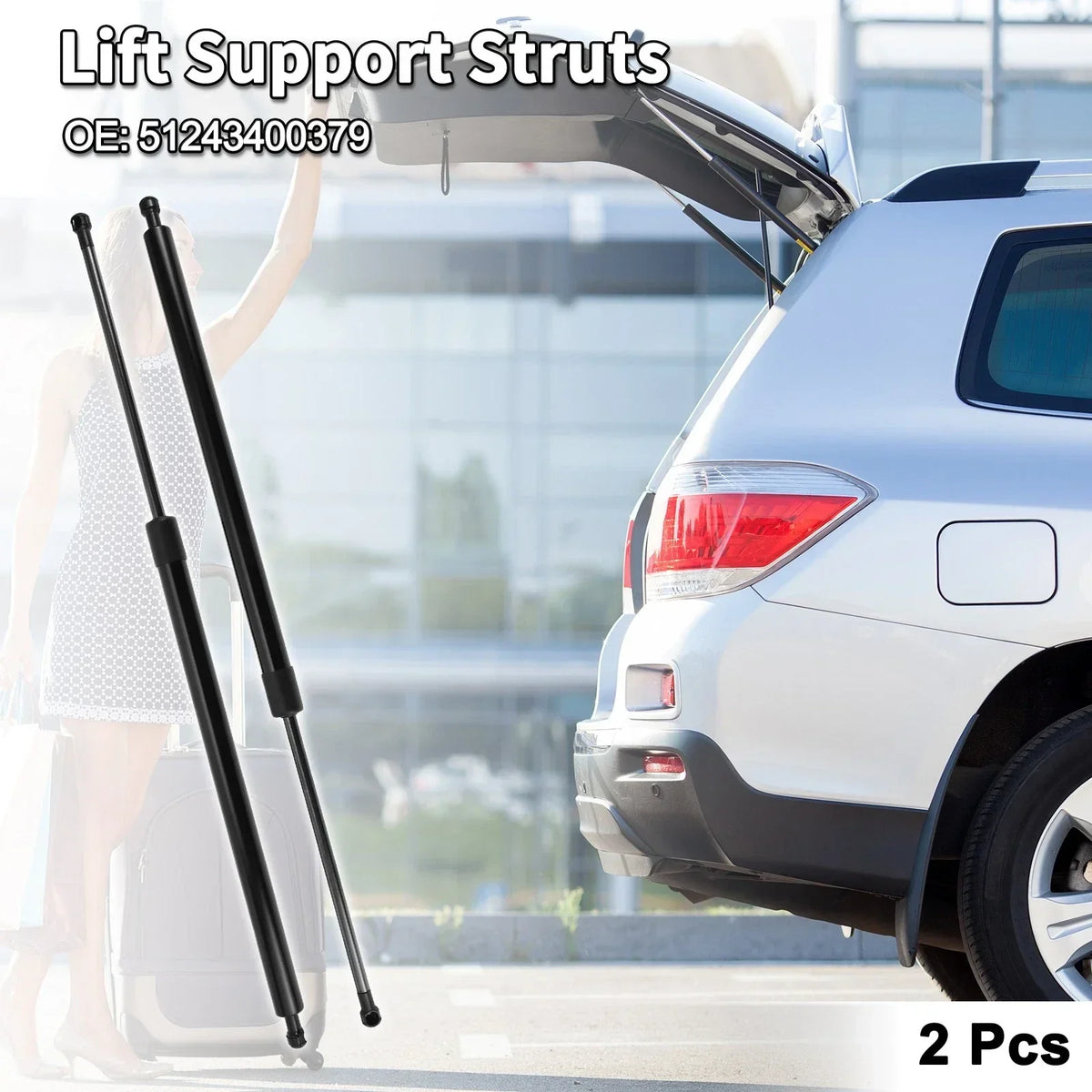 Rear Hatch Lift Supports Struts for E83 X3 BMW SUV (2004-2010)