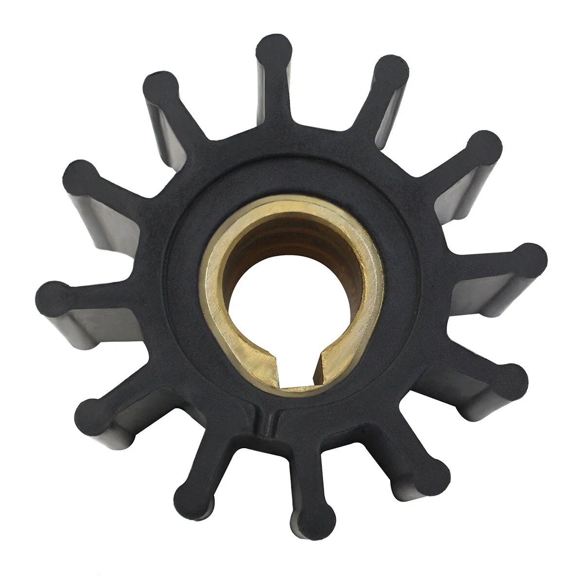Water Pump with Flexible Impeller for Oberdorfer 301 302 303 M Model 6620 8647