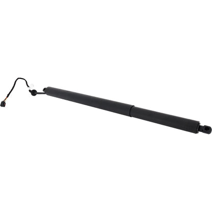 Liftgate Lift Support for Driver/Passenger Side