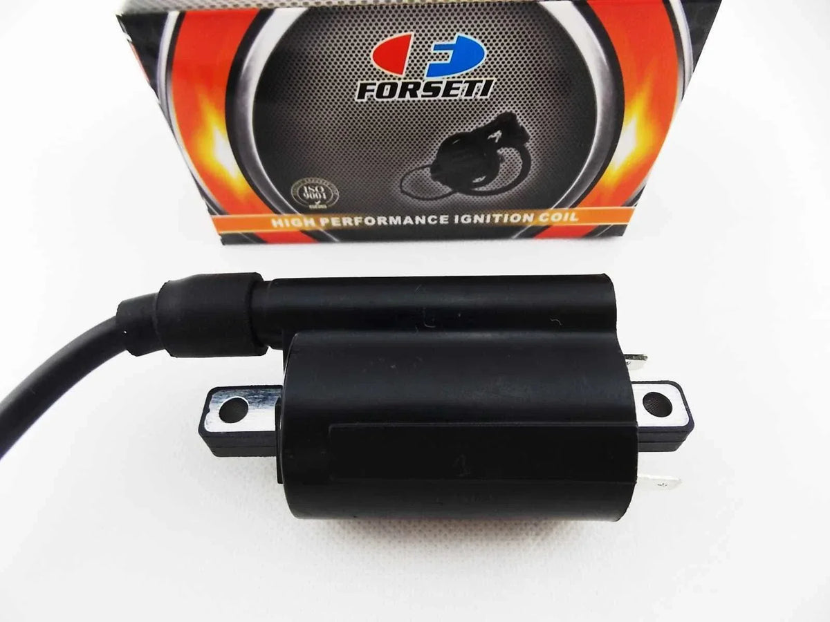 Ignition Coil Spark Plug Cap Assembly for VZ800 Marauder 1998-2004