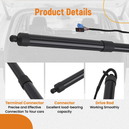 Rear Lift Support Struts - 2pc for Porsche Panamera 970 (2010–2016)