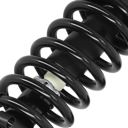 Front Shocks and Struts for 2003–2007 Honda Accord