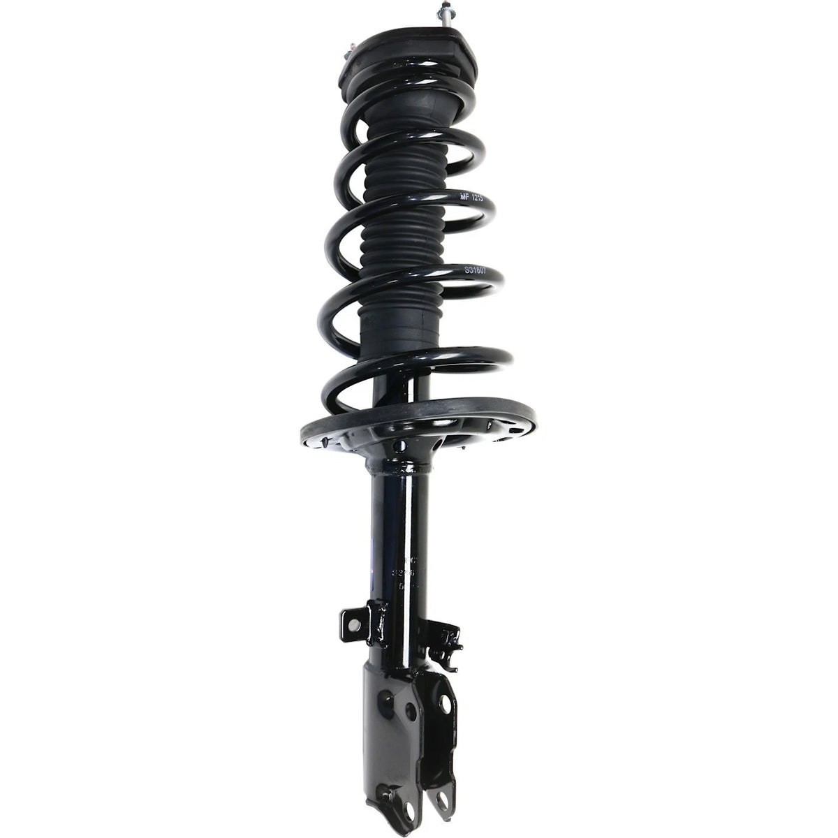 Strut Set of 2 for - Rear Left Right Pair