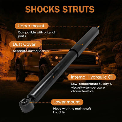Rear Pair Shocks Struts Assembly for Ford Escape (2008–2012)