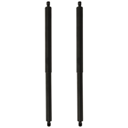 Set of 2 Liftgate Lift Supports for BMW X3