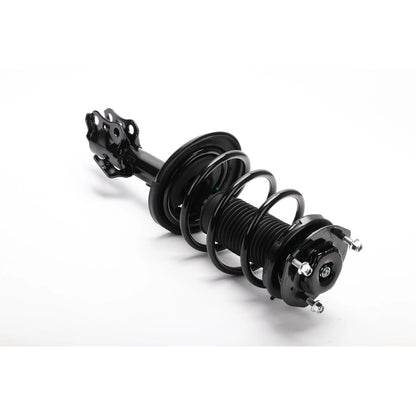 Front Passenger Right Strut for Toyota Solara, Lexus ES330 (2000–2006)