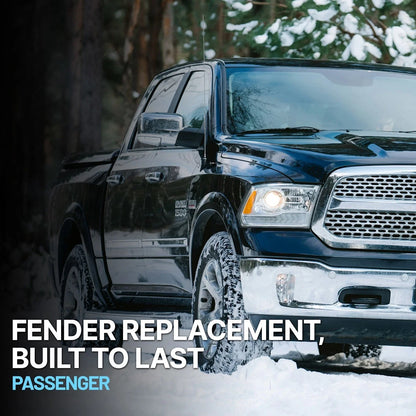 Front Driver Side Primed Fender for Dodge Ram 1500 (2002)