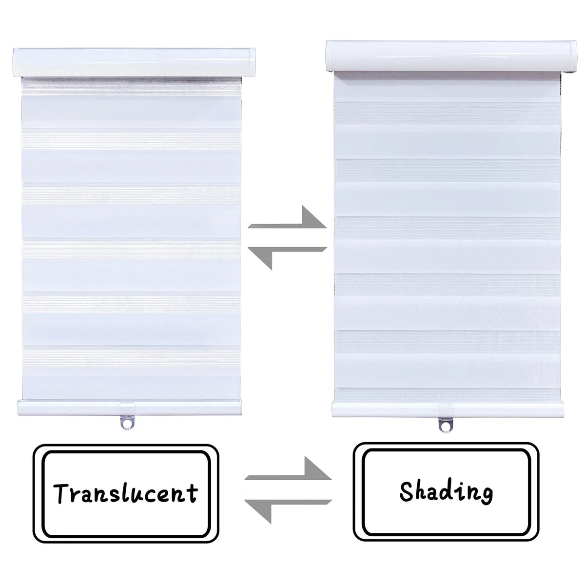 Zebra Roller Blinds 52" White Cordless Dual Layer Shade for Home (2023)