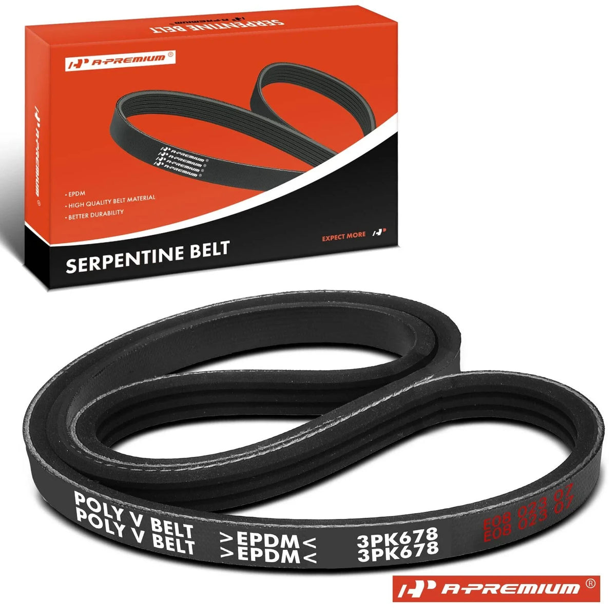 Water Pump Serpentine Belt for Ford Escape (2001–2004)