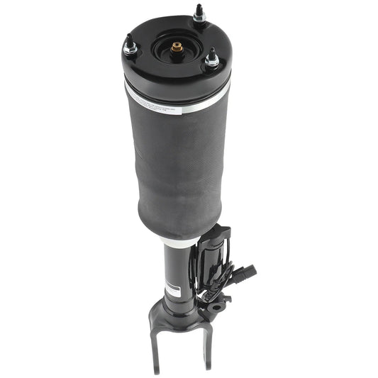 Suspension Strut Assembly for Mercedes Benz R320 R350 R500 R63 AMG (2006–2013)