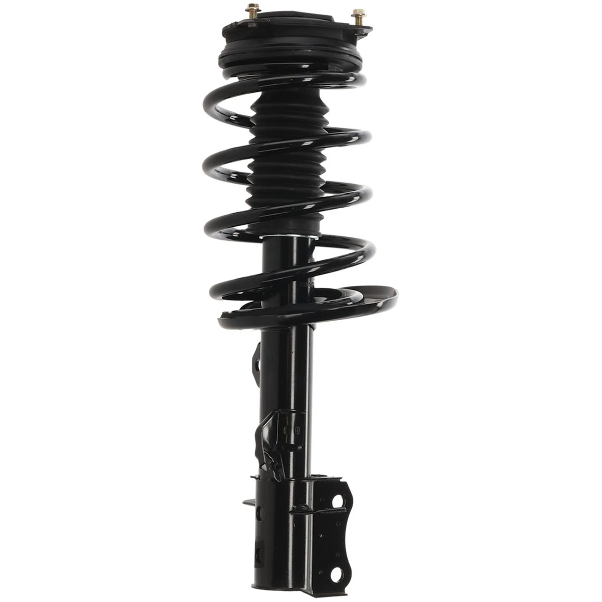Strut Set of 2