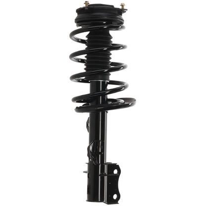 Strut Set of 2