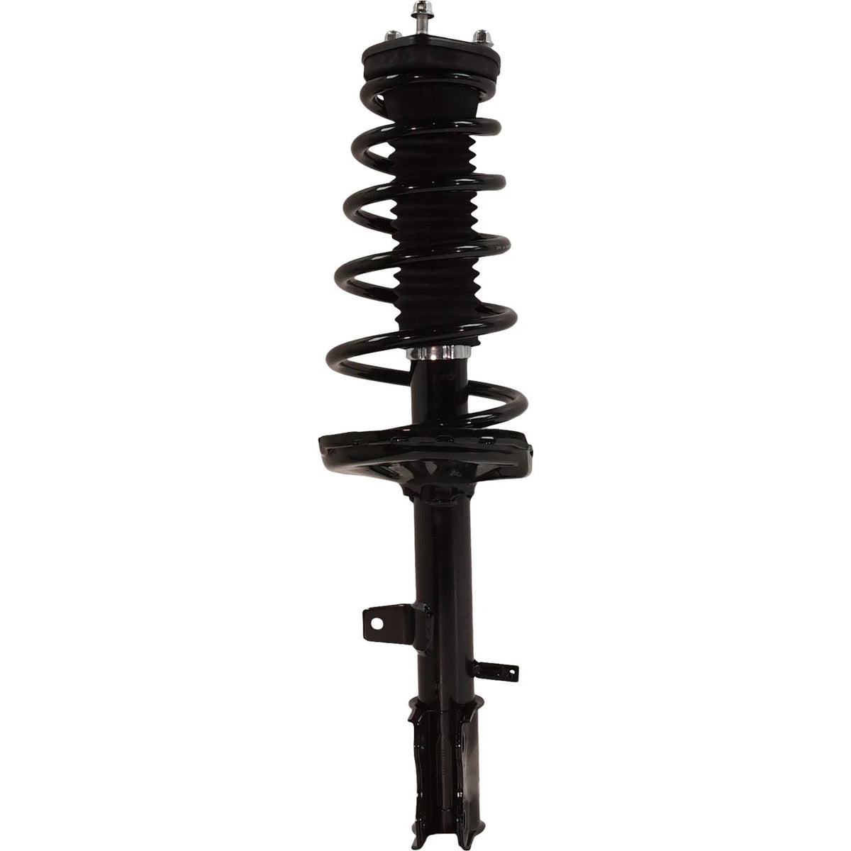 Strut Set of 2 for - Rear Left & Right Pair