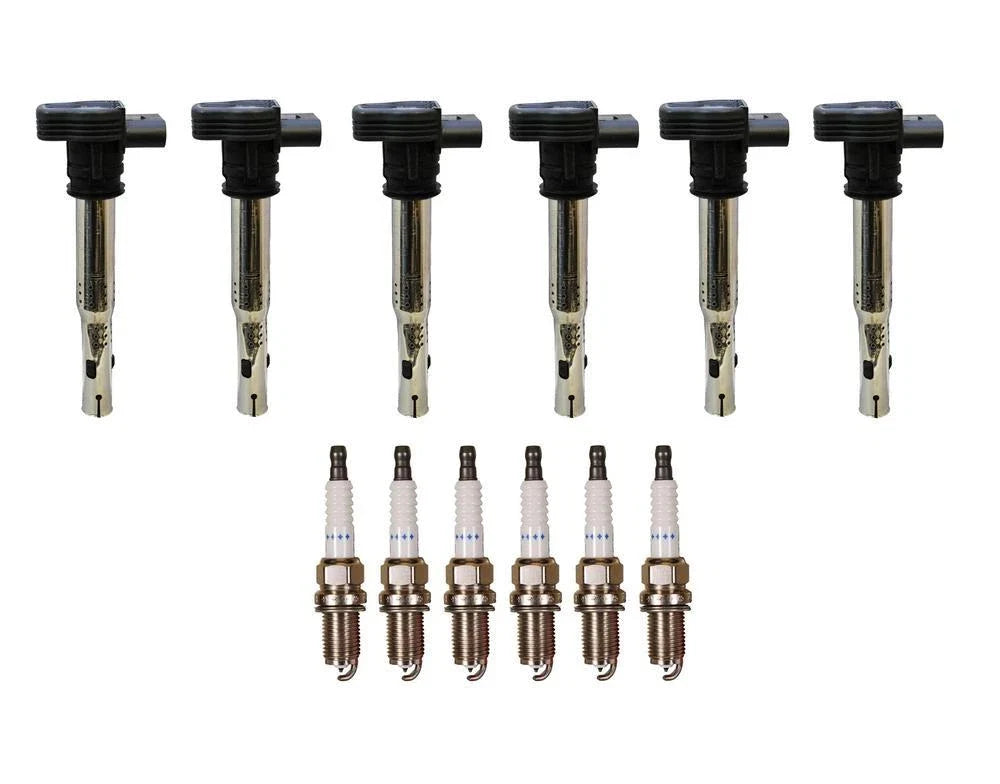 Set of 6 Denso Ignition Coils for (Double Platinum, Gap 0.044)