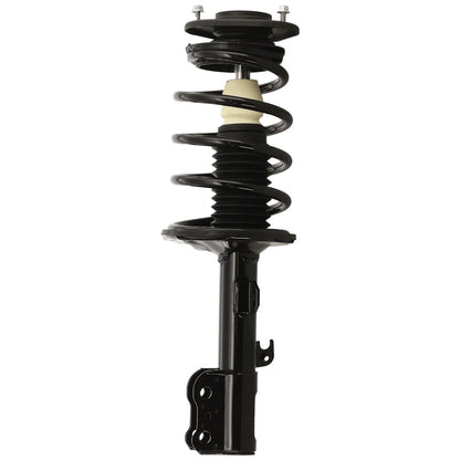 Strut Set of 4
