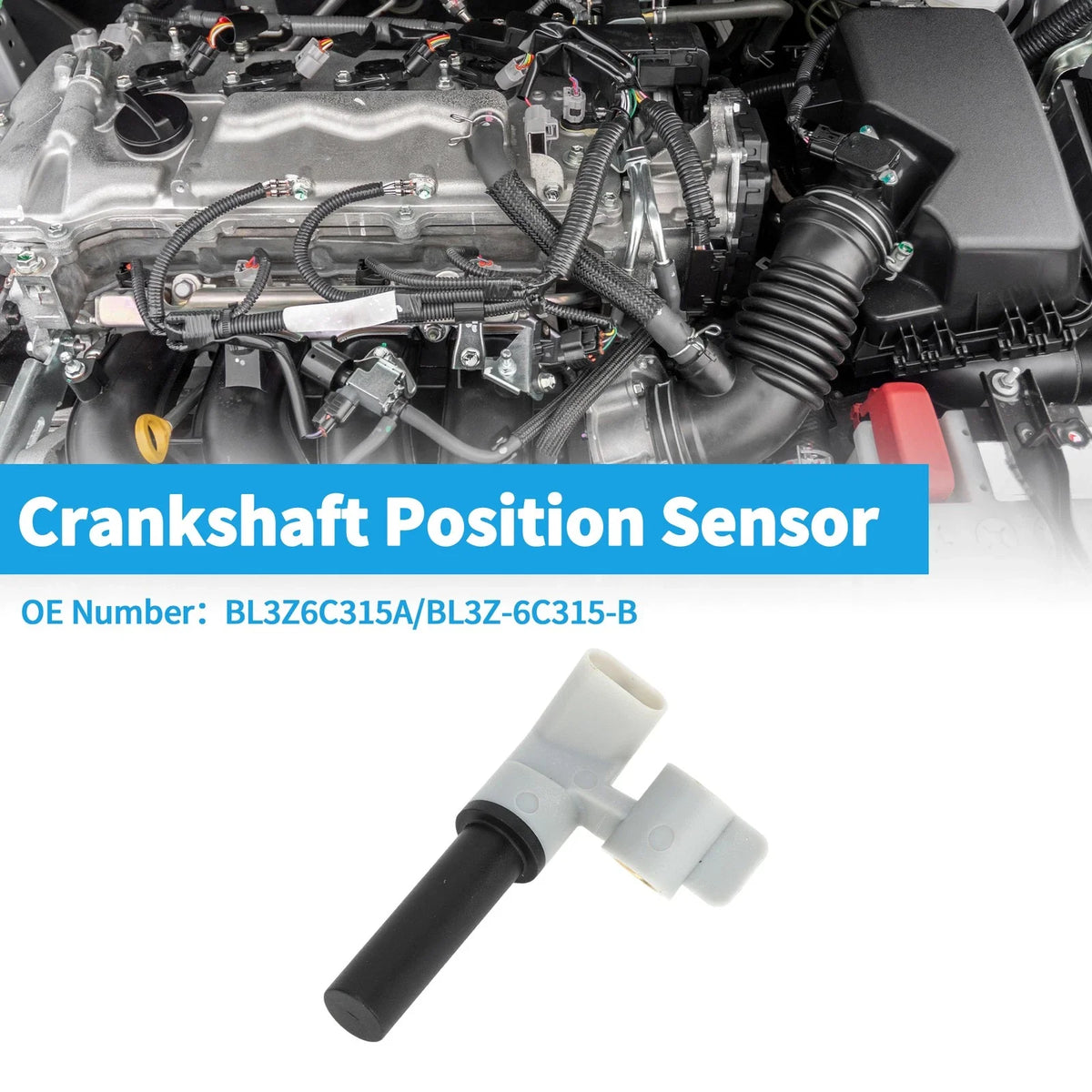 Crankshaft Position Sensor for Ford Explorer Sport (2013–2019) No.BL3Z6C315A