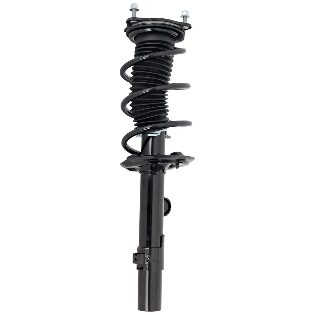 Strut Set of 2
