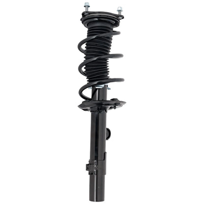 Strut Set of 2